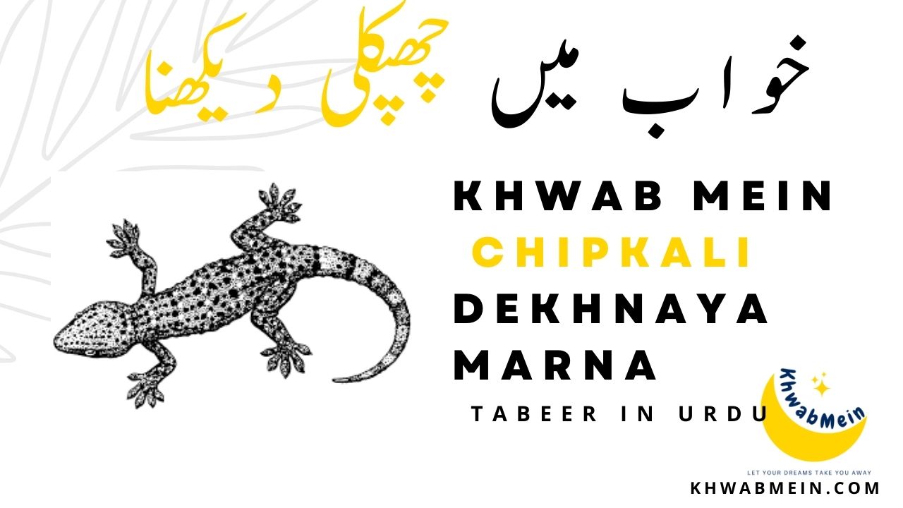 Khwab Mein Chipkali Ko Marna Ki Tabeer In Urdu