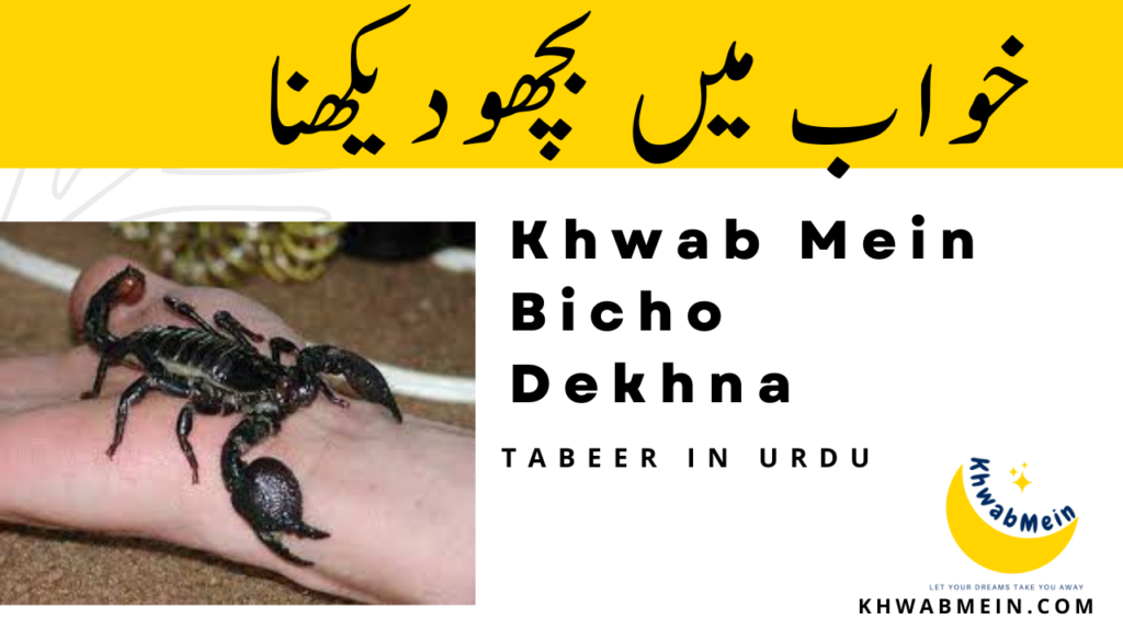 Khwab Mein Bichoo Dekhna Ki Tabeer In Urdu Khwabmein 