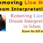 Removing Lice Hair Dream Interpretations